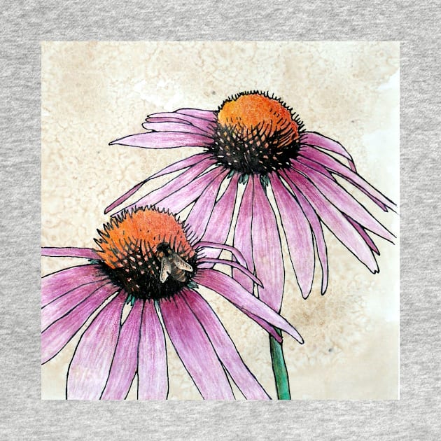 Echinacea 2 by BeeG